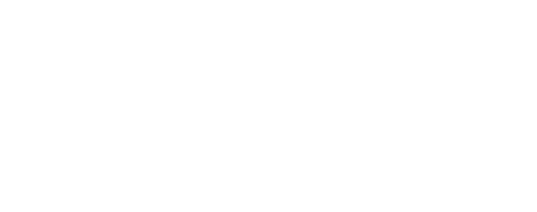 The Coaching BluPrnt